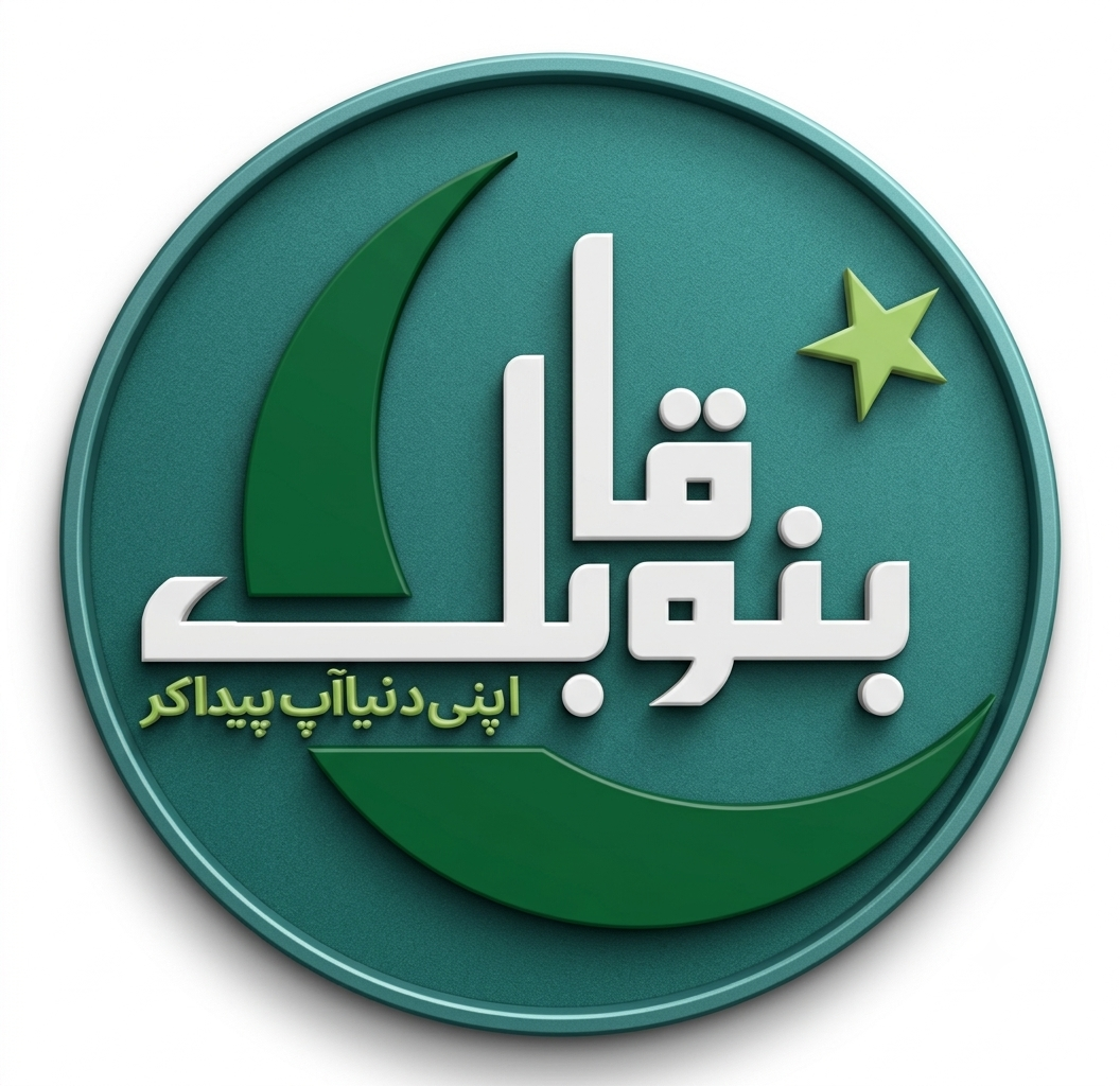 Bano Qabil: Pakistan’s Biggest Free IT Program