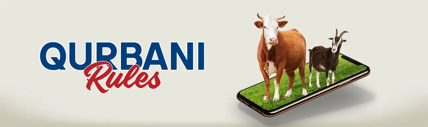 Qurbani Rules